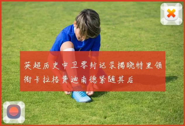 英超历史中卫零封记录揭晓特里领衔卡拉格费迪南德紧随其后